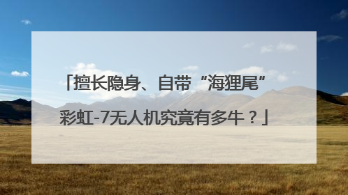 擅长隐身、自带“海狸尾” 彩虹-7无人机究竟有多牛？